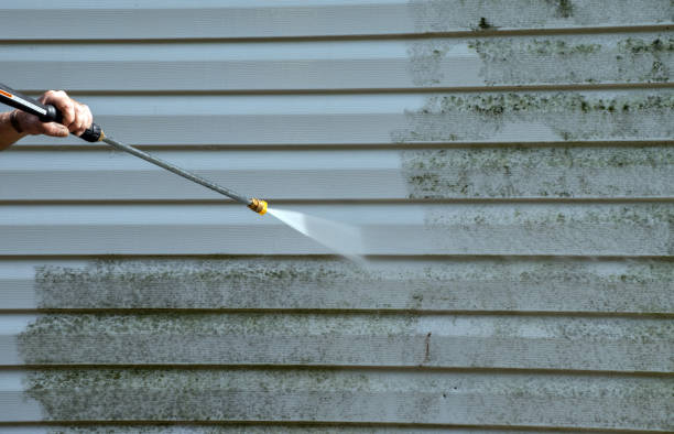 Best Commercial Building Pressure Washing  in Moorhead, MS